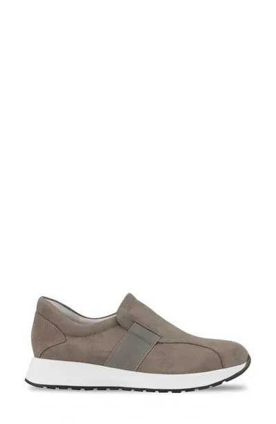 Munro Laurel Slip-on Sneaker In Almond