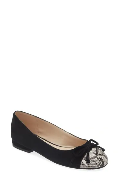 Pelle Moda Saida Ballet Flat In Black