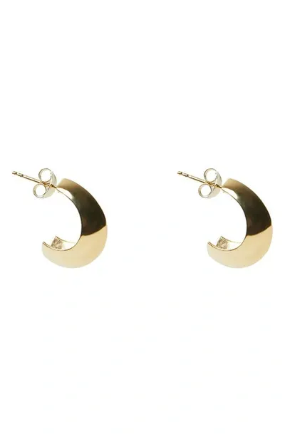 Argento Vivo Sterling Silver Knife Edge Hoop Earrings In Gold