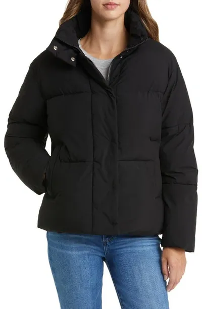 Sam Edelman Stand Collar Puffer Jacket In Black