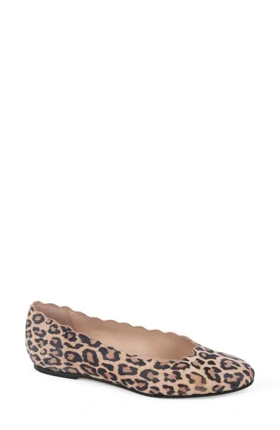 Patricia Green Palm Beach Scalloped Ballet Flat In Leopard