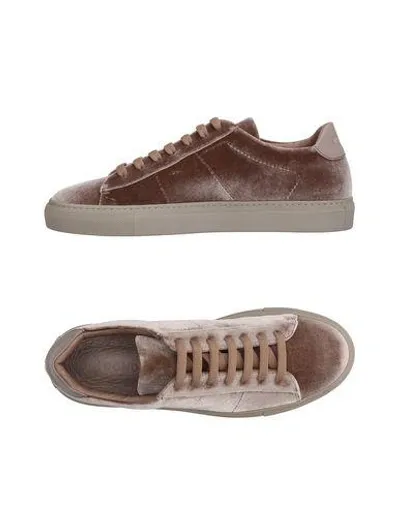 Dondup Sneakers In Beige