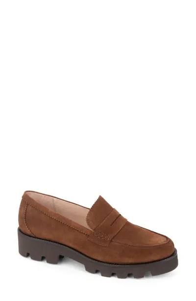 Patricia Green Vince Lug Sole Penny Loafer In Chocolate