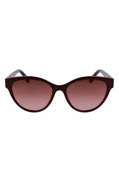 Lacoste 55mm Gradient Cat Eye Sunglasses In Burgundy