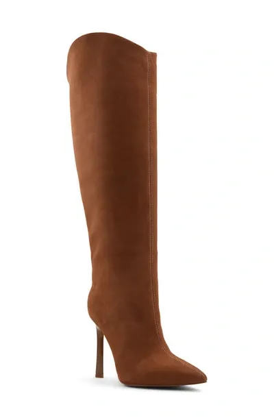 Aldo Devondra Pointed Toe Knee High Boot In Dark Brown