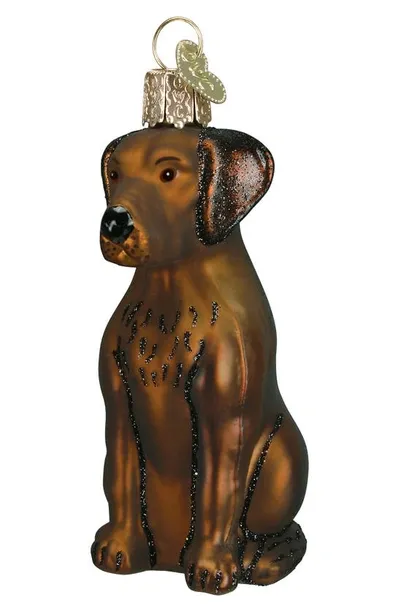 Old World Christmas Chocolate Labrador Glass Ornament In Brown