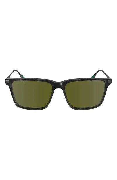 Lacoste Premium Heritage 55mm Rectangular Sunglasses In Havana Grey