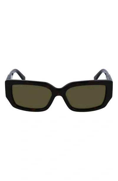 Lacoste 55mm Rectangular Sunglasses In Havana