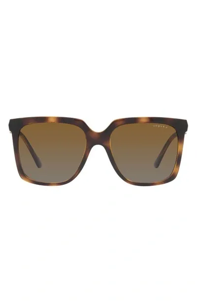 Vogue 54mm Polarized Square Sunglasses In Dark Havana