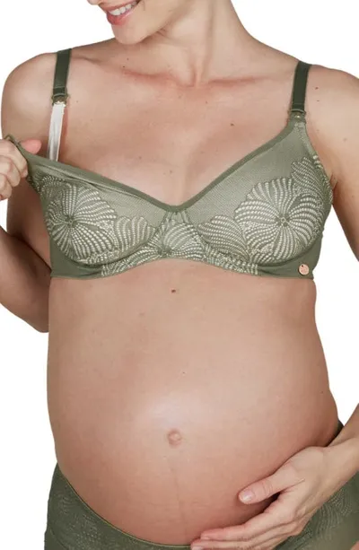 Cache Coeur Dahlia Maternity/nursing Bra In Khaki