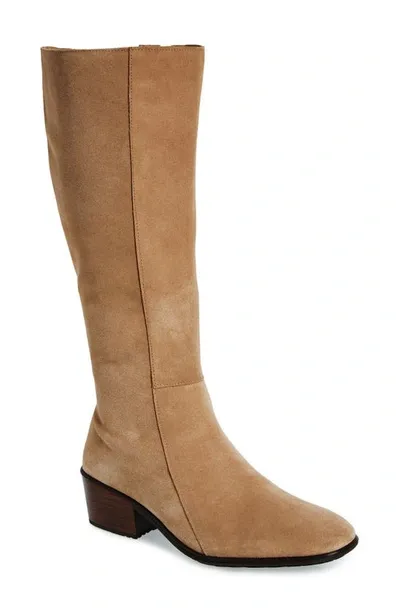 Naot Gift Knee High Boot In Almond Suede