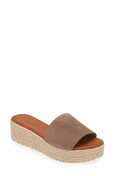 Cordani Bizzy Espadrille Platform Wedge Slide Sandal In Taupe Suede