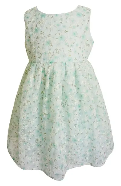 Popatu Babies' Floral Embroidered Tulle Overlay Party Dress In Mint