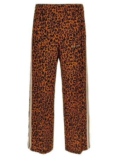 Palm Angels Cheetah Track Pants In Multicolor