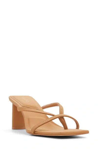 Aldo Sanne Slide Sandal In Dark Beige