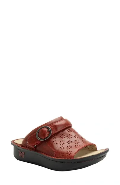 Alegria By Pg Lite Klover Platform Sandal In Garnet