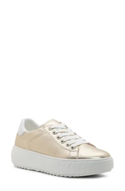 Ara Mikky Platform Sneaker In Platinum