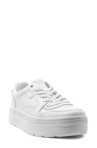 Palladium Pallasphalt Platform Sneaker In Star White