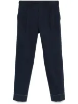 Brioni Melbourne Trousers In Blue