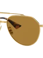 Dolce & Gabbana Dolce&gabbana Man Sunglasses Dg2302 In Brown