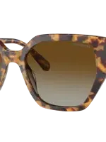 Swarovski Woman Sunglasses Sk6016 In Brown